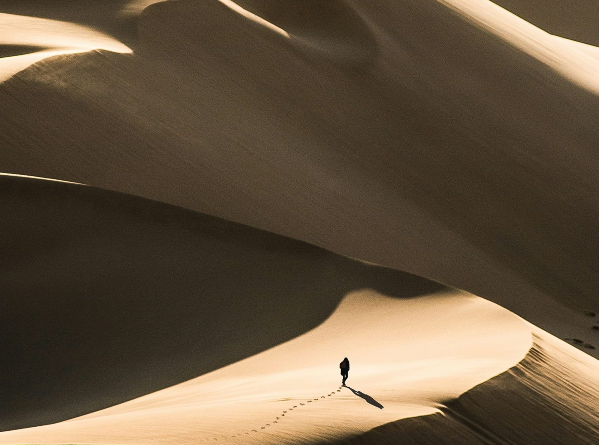 The Making of a Novel: Week 2